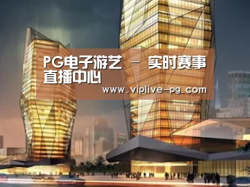 案例展示三