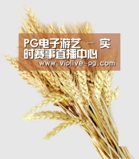 PG电子游艺 - 实时赛事直播中心