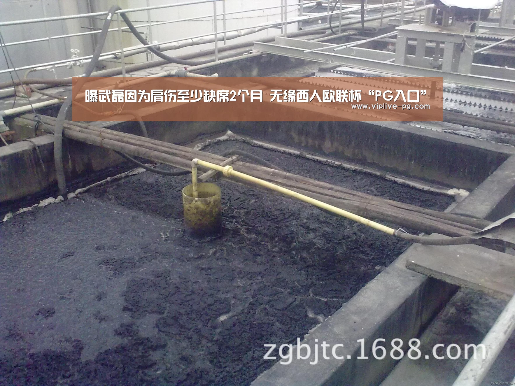 曝武磊因为肩伤至少缺席2个月 无缘西人欧联杯“PG入口”(图2) PG亚洲体育