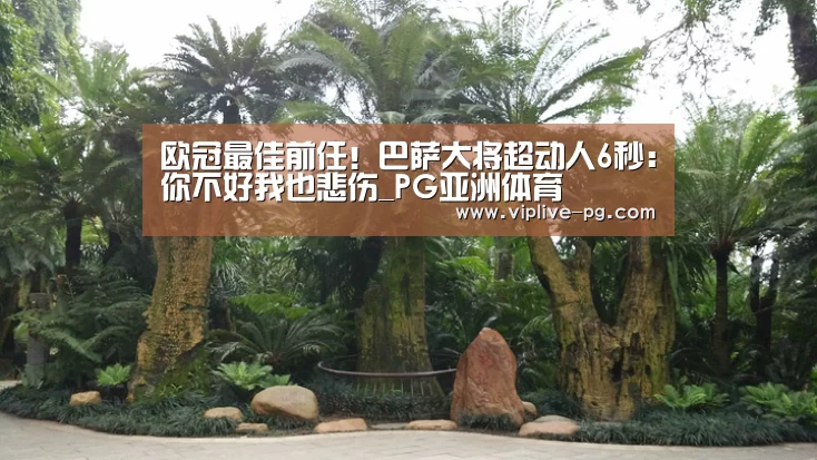 PG亚洲体育
