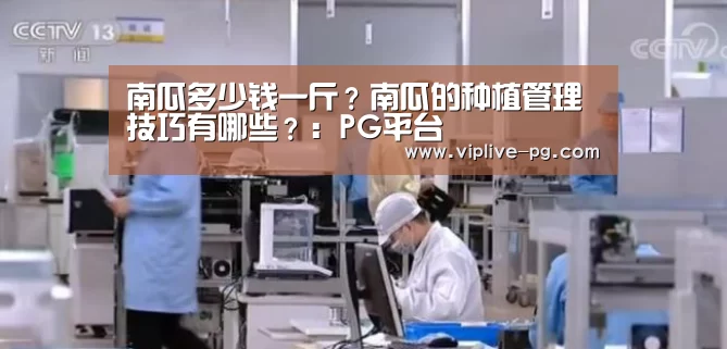 南瓜多少钱一斤?南瓜的种植管理技巧有哪些?:PG平台(图2) PG足球