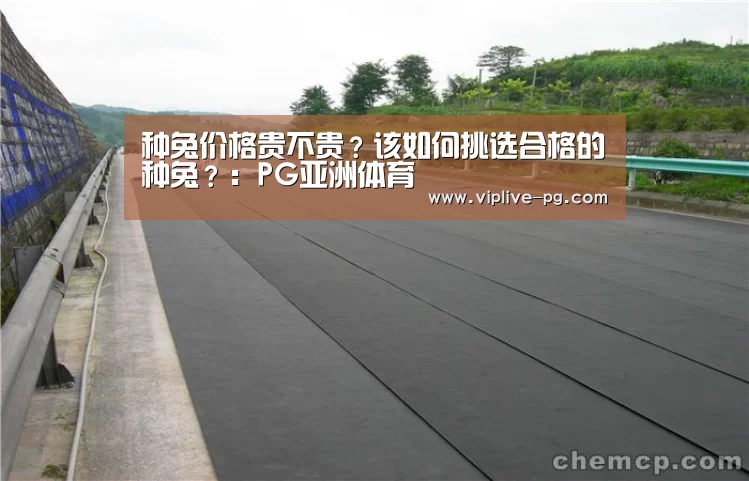 种兔价格贵不贵?该如何挑选合格的种兔?:PG亚洲体育(图1) PG足球