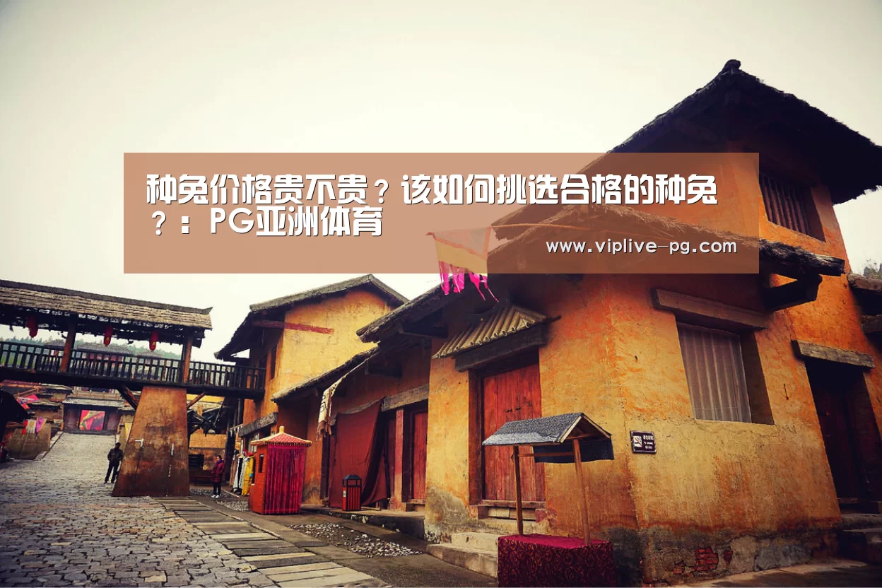 种兔价格贵不贵?该如何挑选合格的种兔?:PG亚洲体育(图2) PG入口