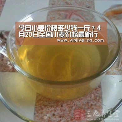 今日小麦价格多少钱一斤?4月20日全国小麦价格最新行情【PG足球】(图2) PG平台