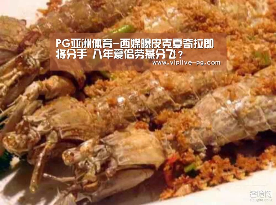 PG亚洲体育-西媒曝皮克夏奇拉即将分手 八年爱侣劳燕分飞?(图1) PG平台