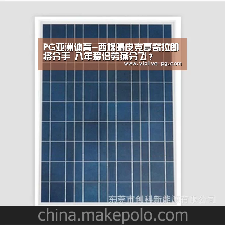 PG亚洲体育-西媒曝皮克夏奇拉即将分手 八年爱侣劳燕分飞?(图3) PG入口