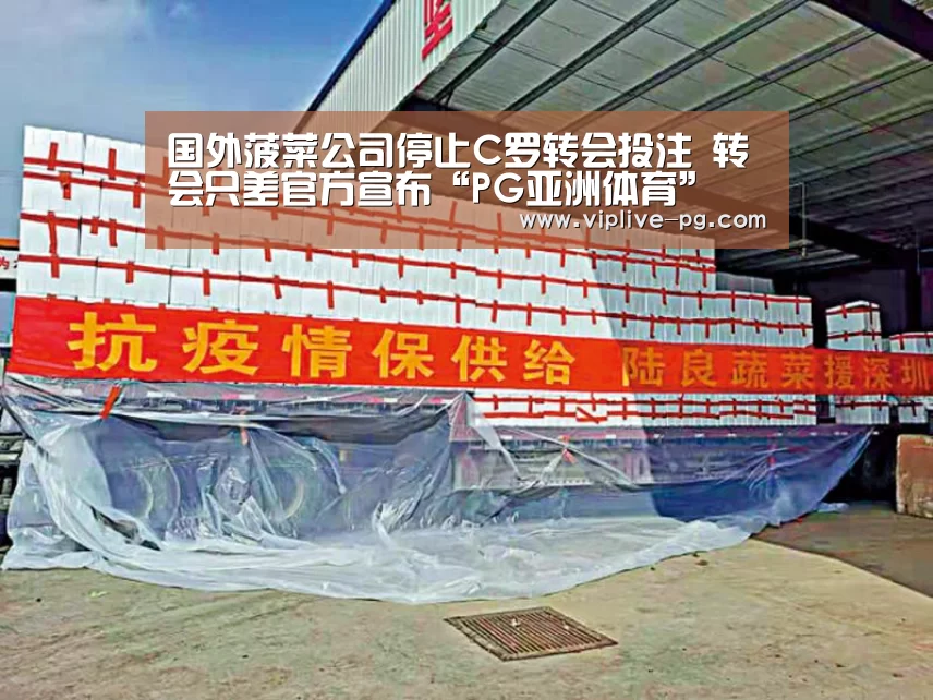 国外菠菜公司停止C罗转会投注 转会只差官方宣布“PG亚洲体育”