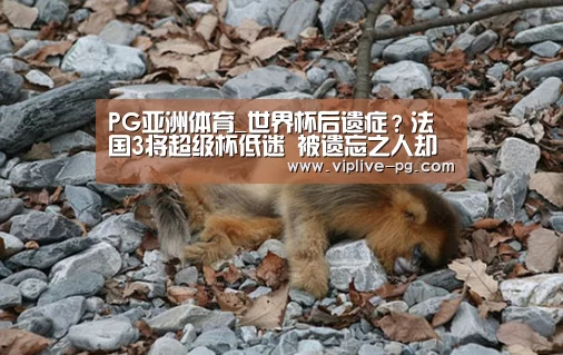 PG亚洲体育_世界杯后遗症?法国3将超级杯低迷 被遗忘之人却成亮点(图1) PG足球