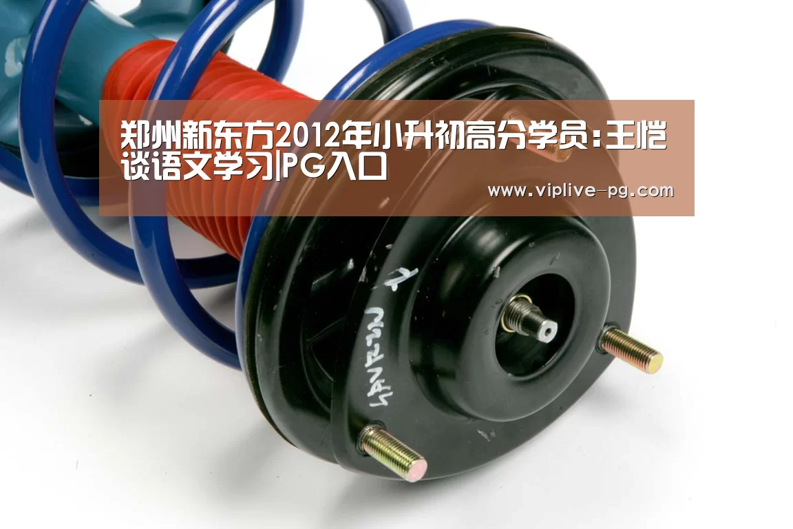 郑州新东方2012年小升初高分学员:王恺谈语文学习|PG入口(图1) PG亚洲体育