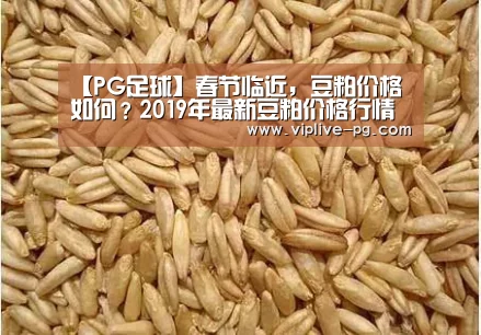【PG足球】春节临近,豆粕价格如何?2019年最新豆粕价格行情汇总分析(图3) PG平台